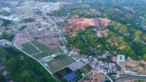 商南：荒山变“银山”茶叶成“金叶”