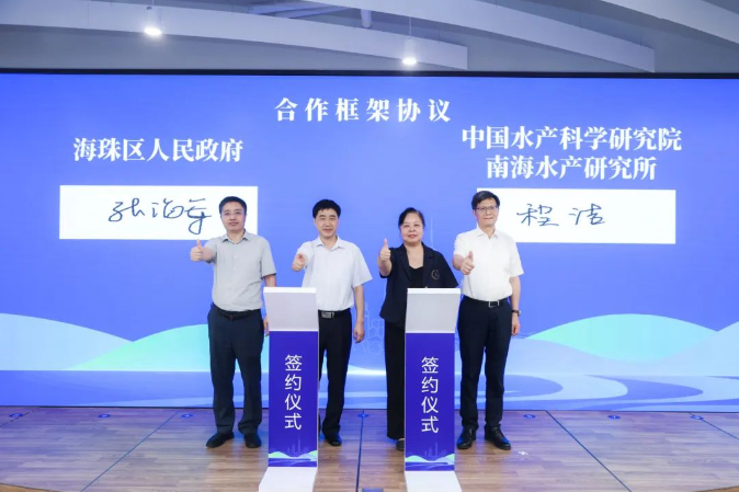 http://www.dadodesign.cn/zb_users/upload/2024/05/20240515130518171574951891211.png