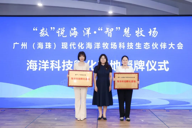 http://www.dadodesign.cn/zb_users/upload/2024/05/20240515130523171574952336064.png
