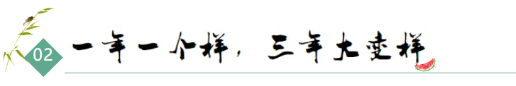 http://www.dadodesign.cn/zb_users/upload/2024/08/20240802181854172259393457117.png