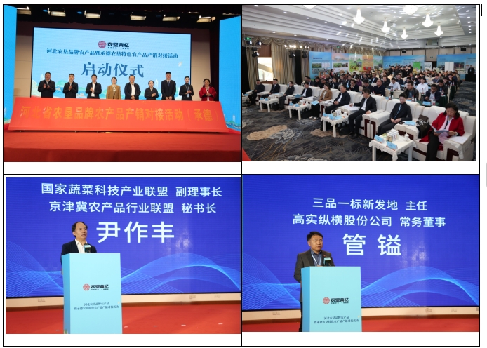 http://www.dadodesign.cn/zb_users/upload/2024/10/20241028121748173008906883737.jpeg