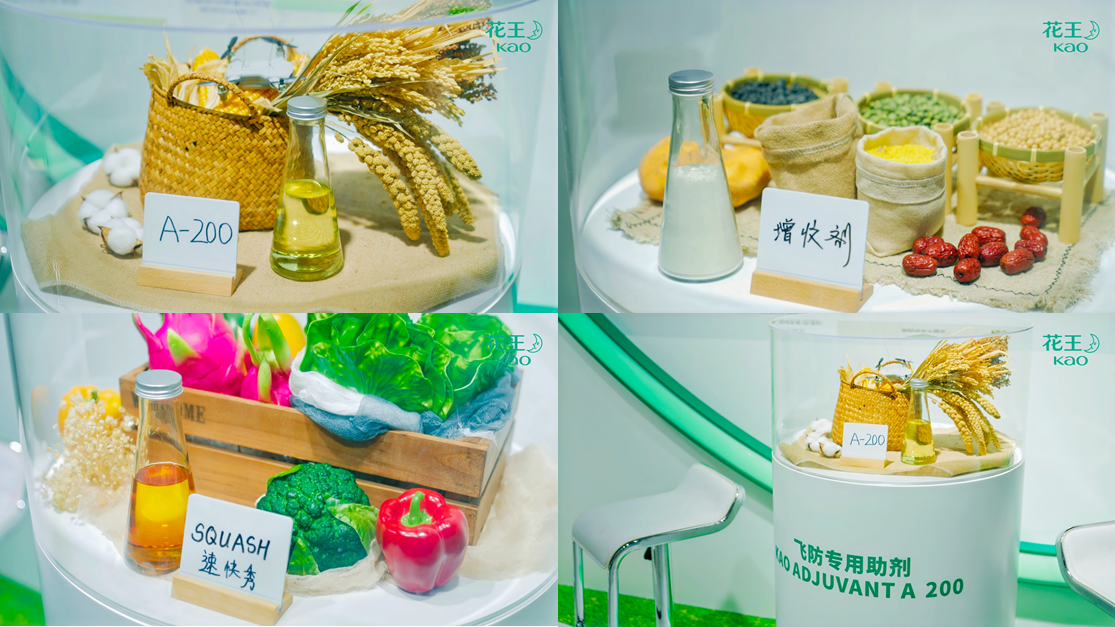 http://www.dadodesign.cn/zb_users/upload/2024/11/20241111094416173128945611177.png