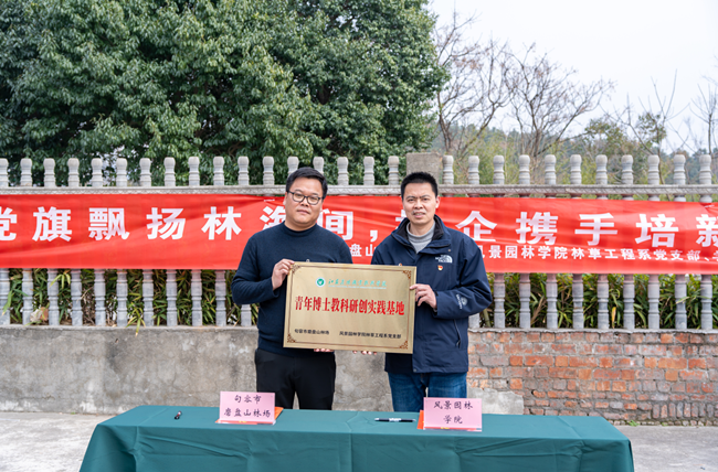 http://www.dadodesign.cn/zb_users/upload/2025/03/20250324065728174277064894834.png