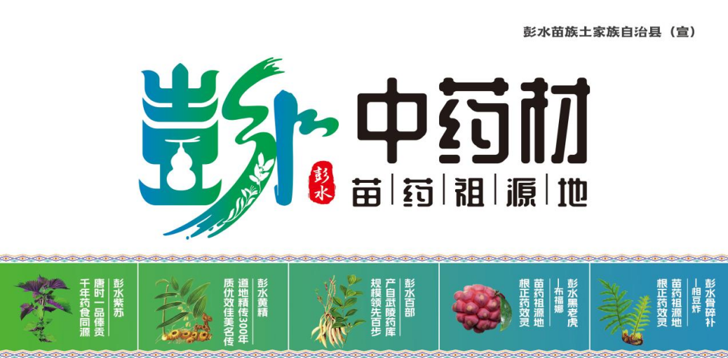 彭水中药材区域公用品牌专题推介，助力中药材产业提质提速发展