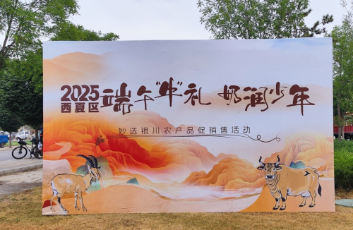 西夏区“端午‘牛’礼 奶润少年”农产品促销售活动圆满收官