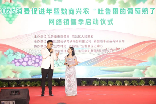 助推新疆吐鲁番水果迈向全国
