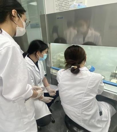 福建林业职业技术学院：让百合籽球“国产芯”加速成长