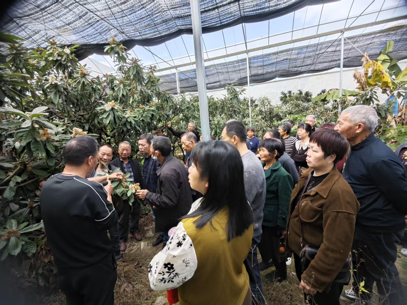 漳浦县高素质农民培训赋能果业发展 绿色生产与质量安全专题培训班圆满举办