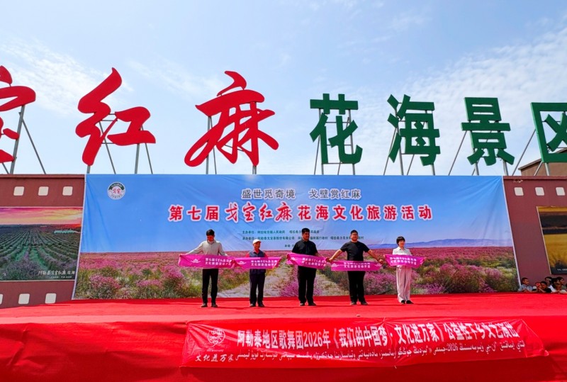 盛世觅奇境•戈壁赏红麻！第七届戈宝红麻花海文化旅游节盛大开幕