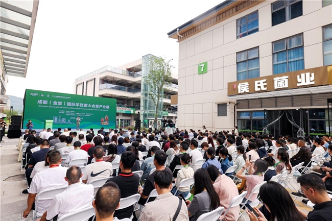从金堂走向世界!成都(金堂)国际羊肚菌大会启幕,ISO国际标准研制正式启动